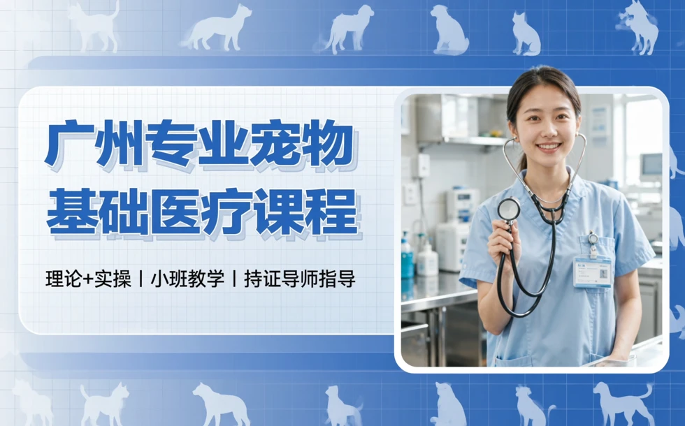 广州专业宠物基础医疗课程