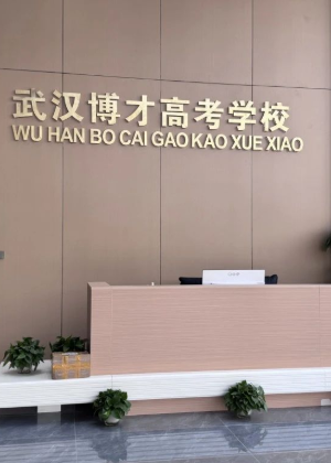 武汉博才教育