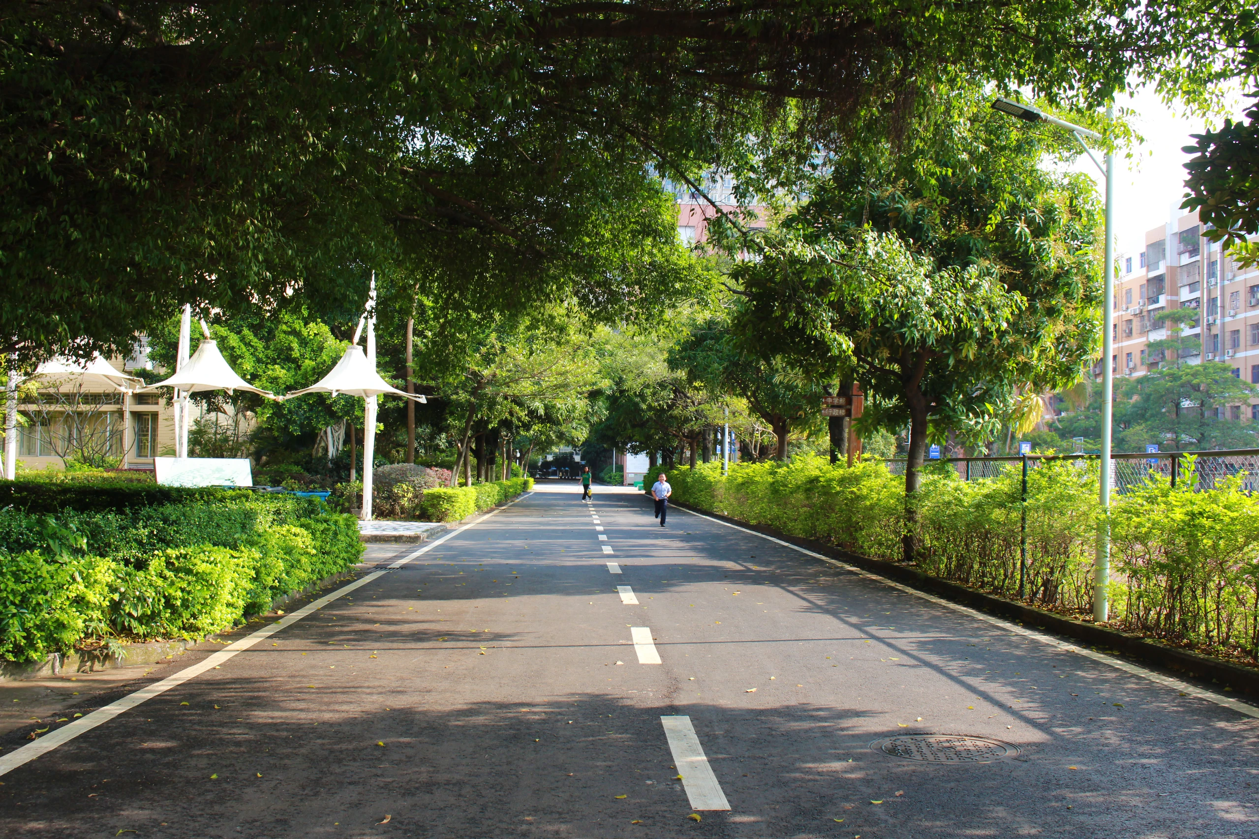 学校校道