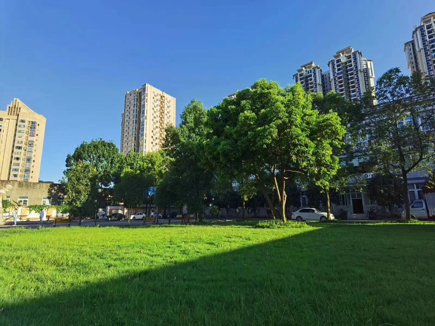 草坪风景