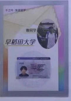 早稻田大学 offer