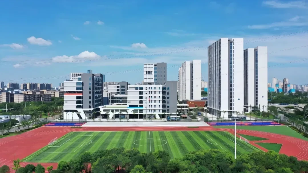 全景