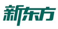 广州新东方国际教育
