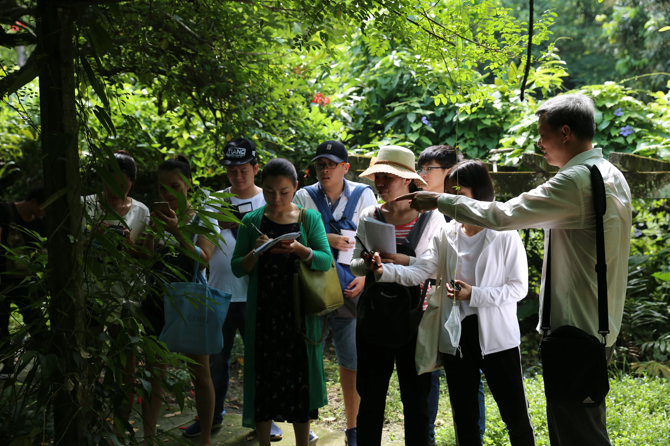 野外采药实景教学