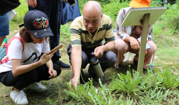 南宁静远中医培训学校野外采药学习之旅一览