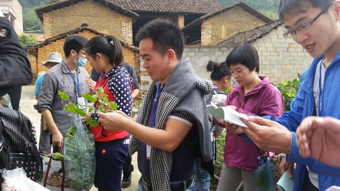 野外采药