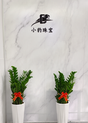 深圳小豹珠宝创意设计培训中心