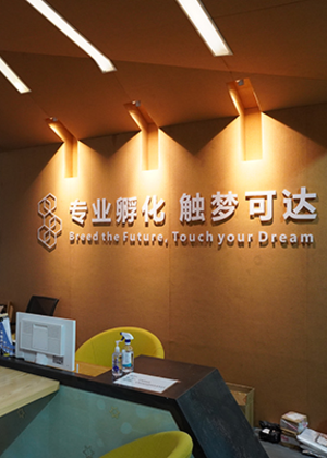 深圳台师人艺培训机构