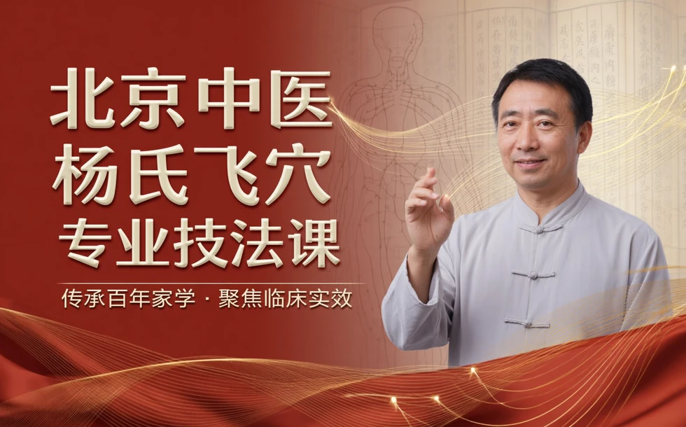 北京中医杨氏飞穴专业技法课