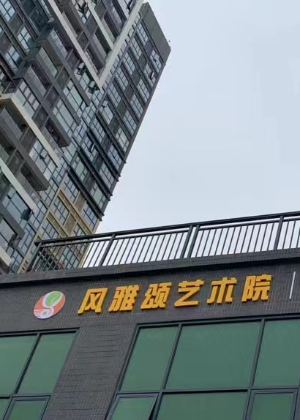 深圳风雅颂艺术机构