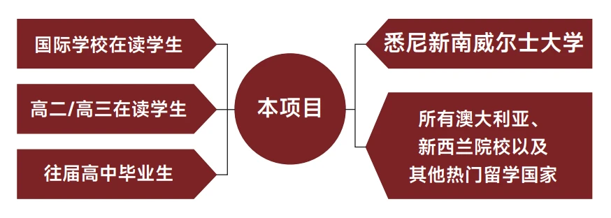 升学路径图