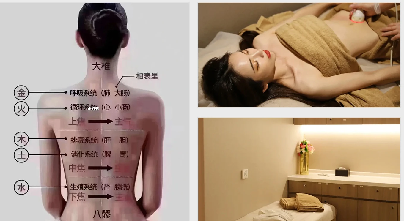 美体概念教学