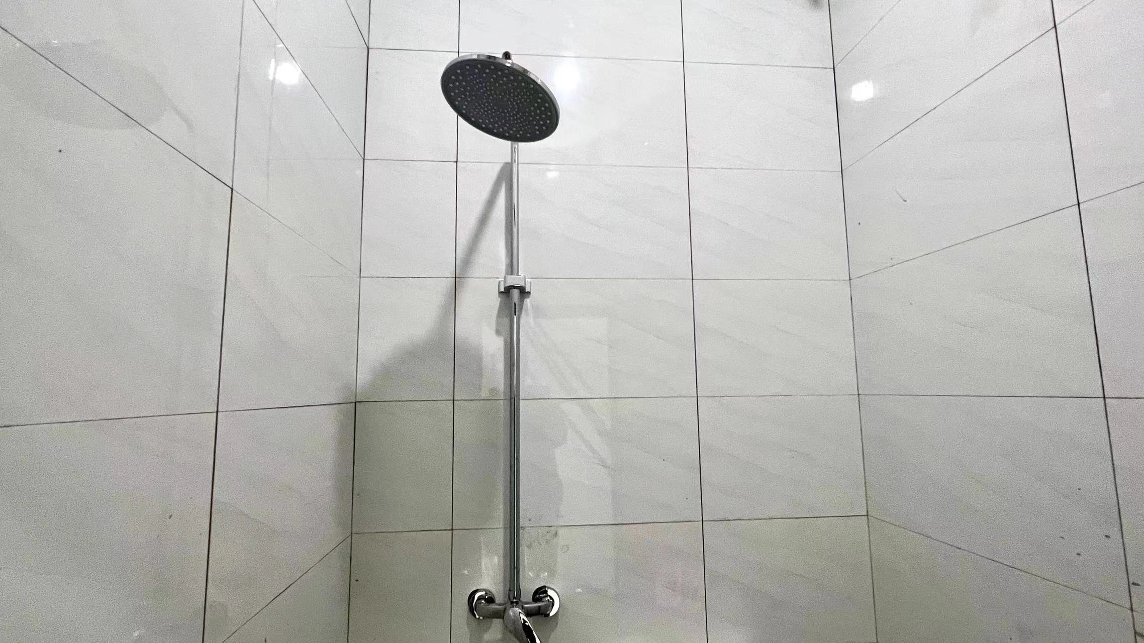 独卫