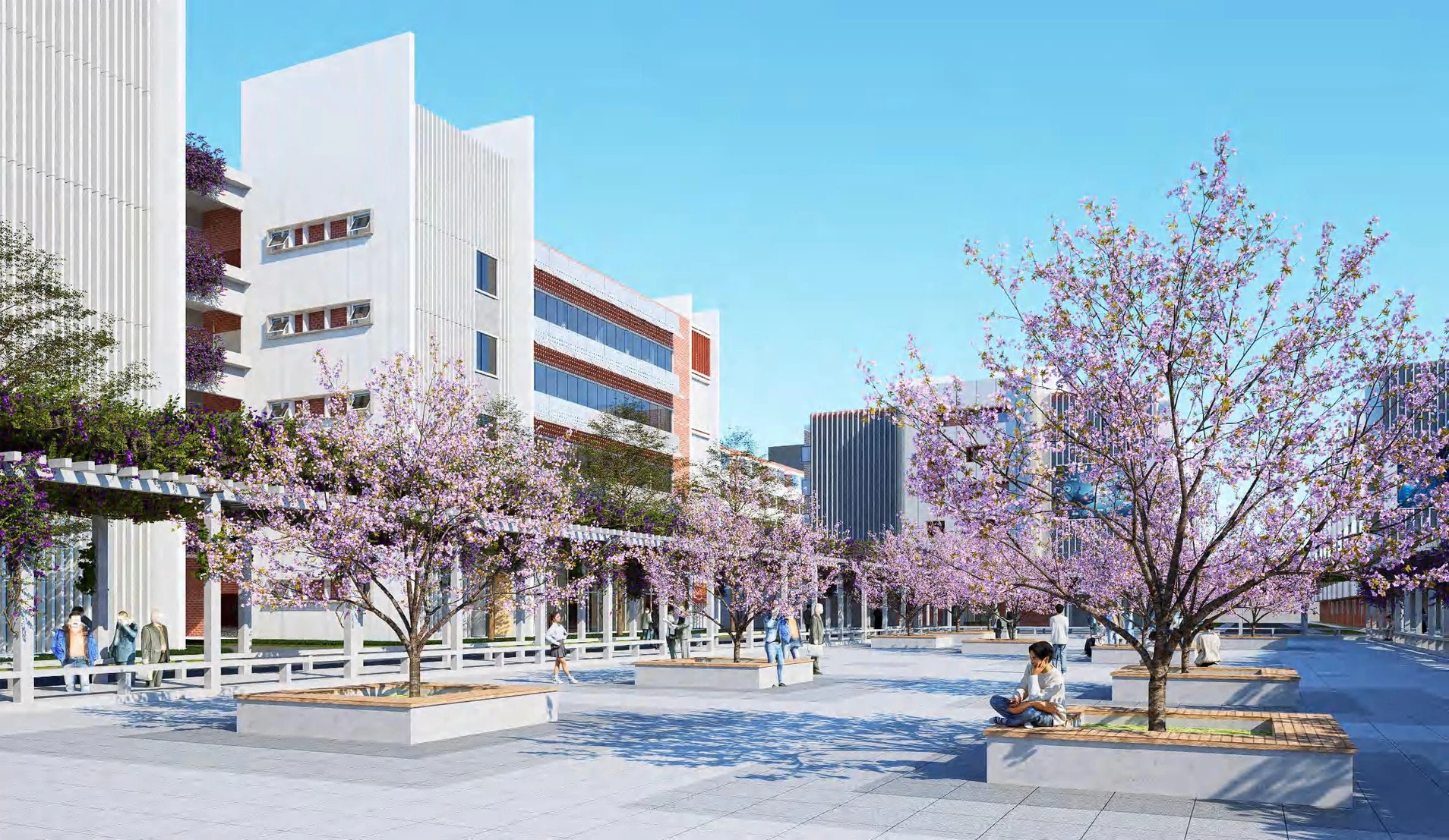 深圳市科立高级中学校园风光
