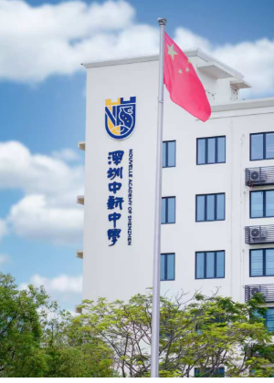 深圳市中新中学