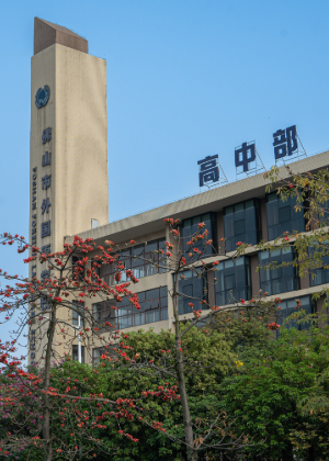 佛山外国语学校