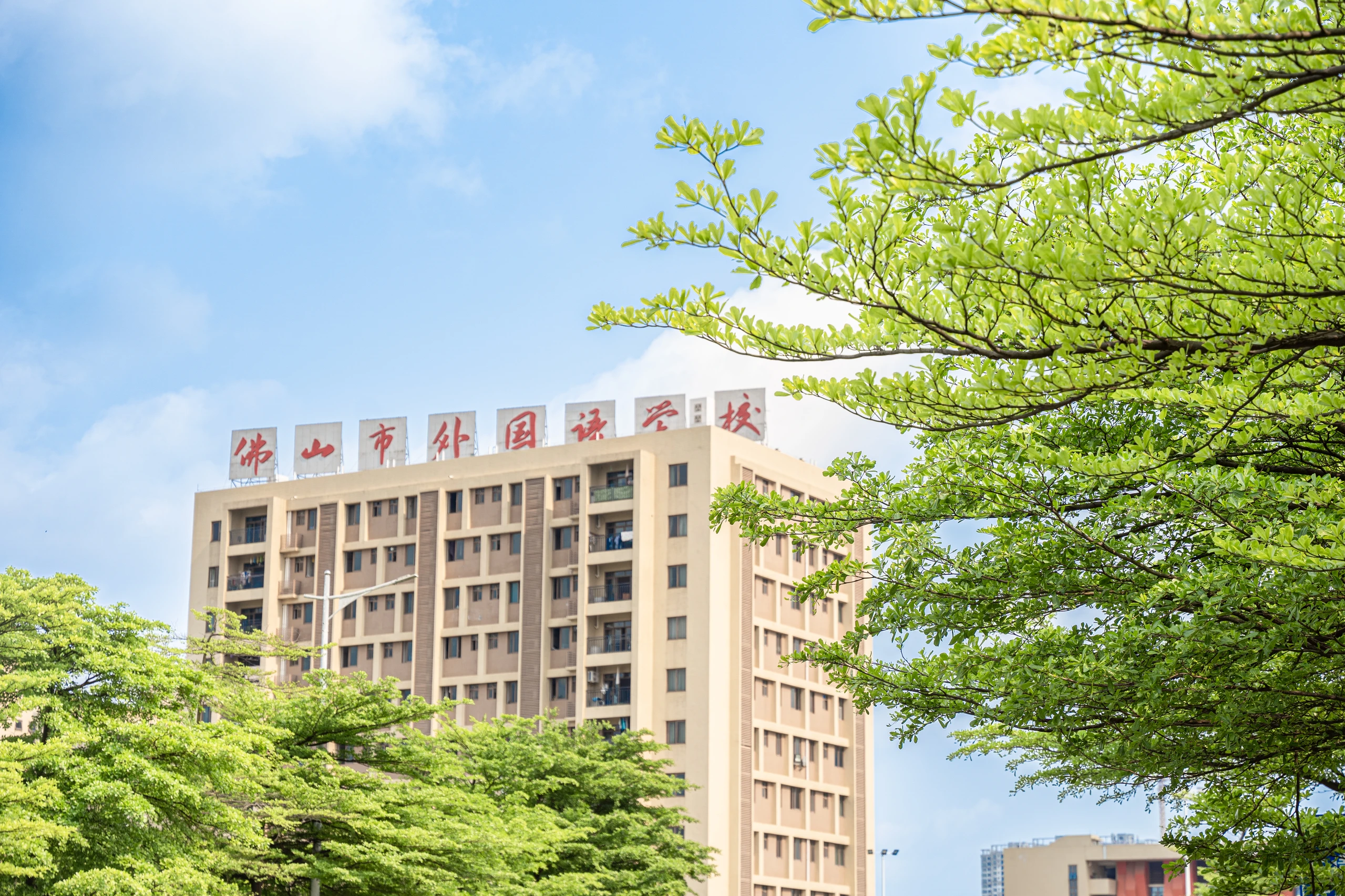 图书馆 (3)