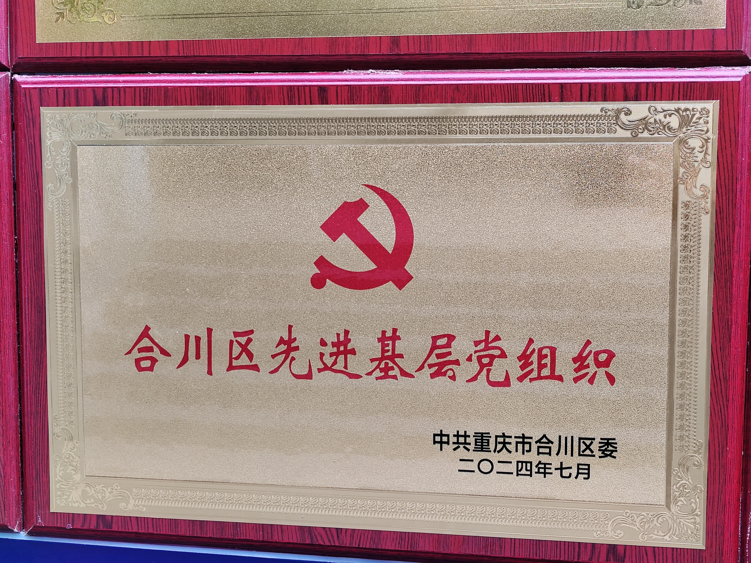 2024年合川区先进基层党组织