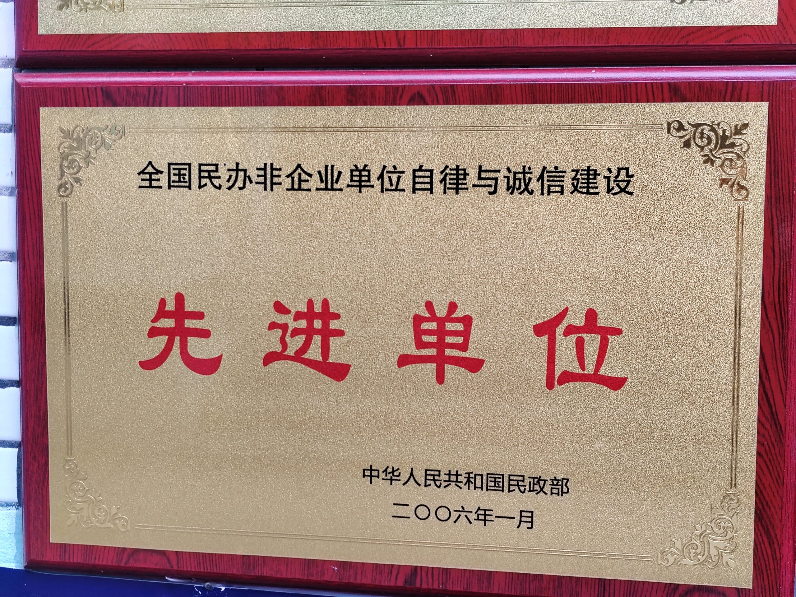 民办非企业自律单位