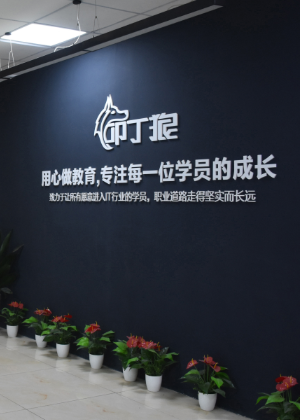 广州叩丁狼IT培训学院