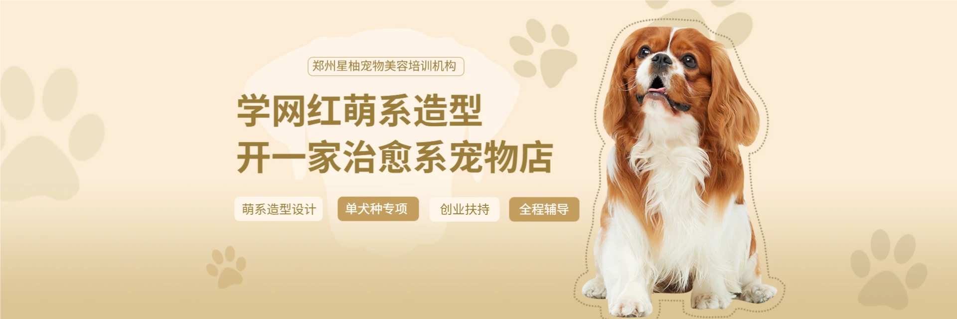 郑州星柚宠物美容培训机构
