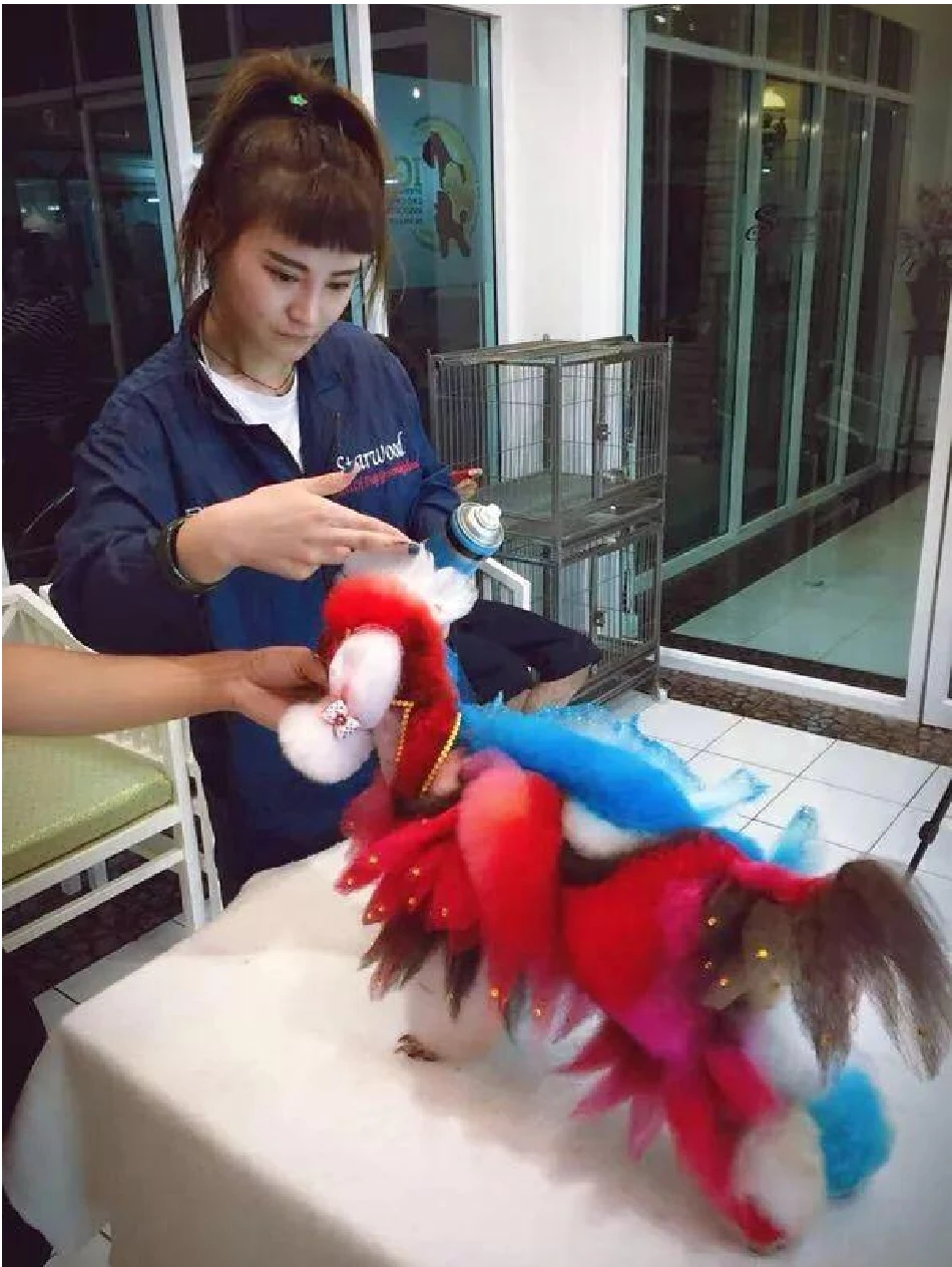 教学现场5