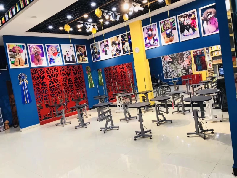 上课环境