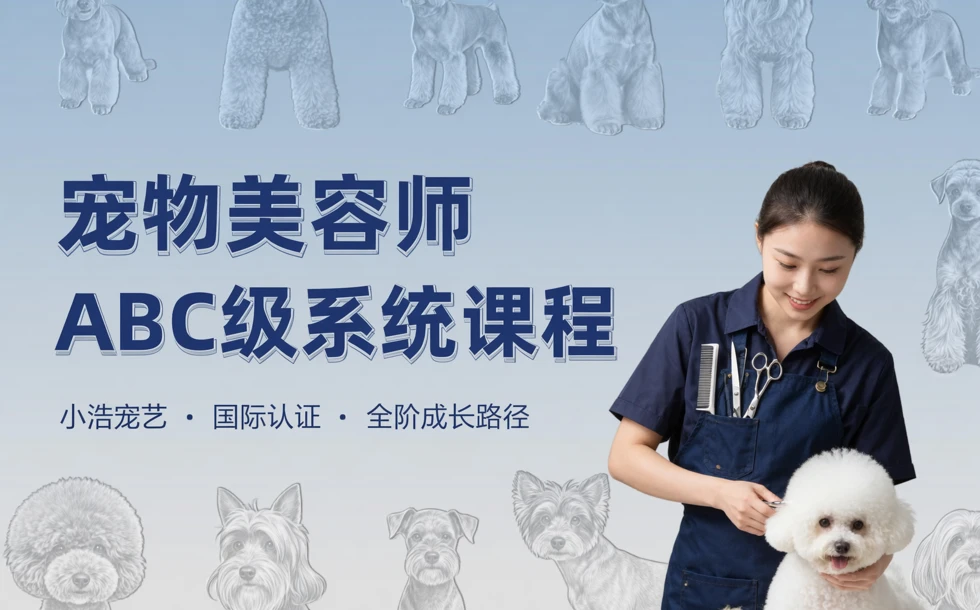 小浩宠艺宠物美容师ABC级系统课程