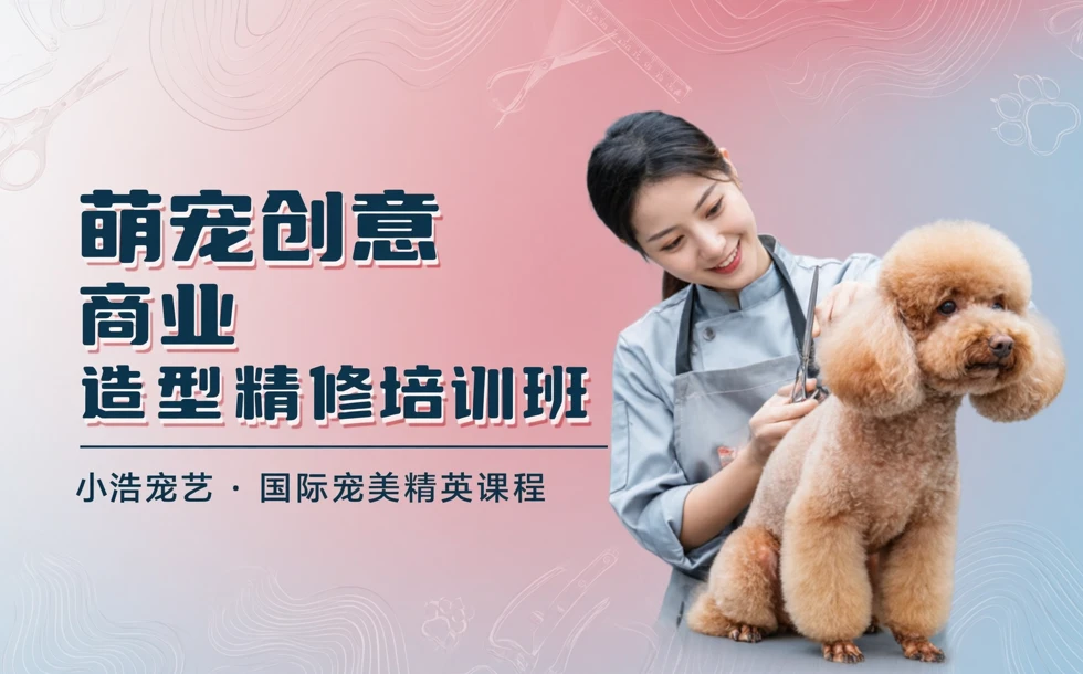小浩宠艺萌宠商业造型精修培训班