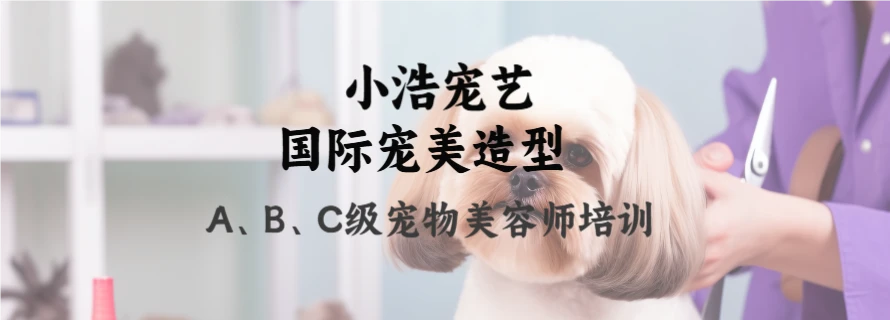 鞍山小浩宠艺国际宠美造型培训中心