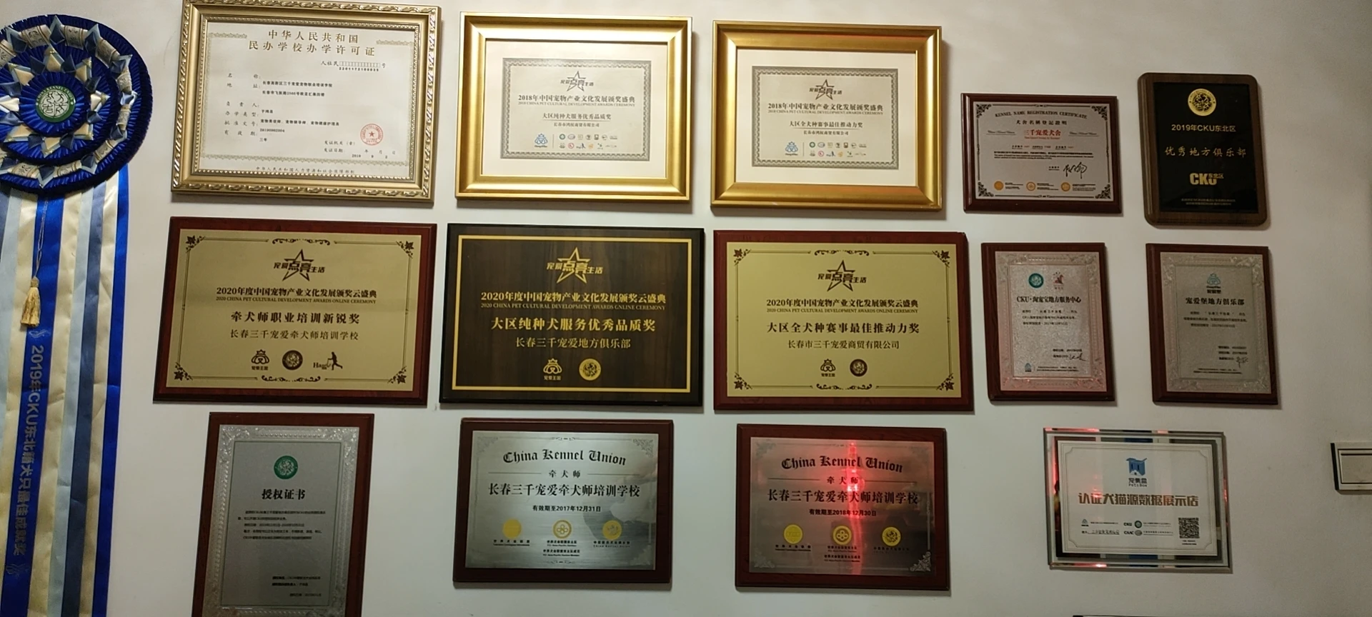 荣誉展示
