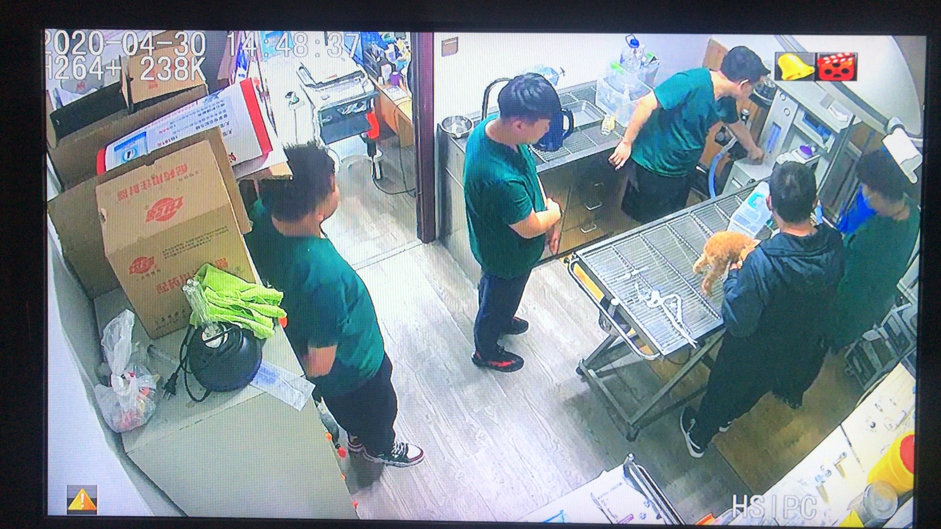 洗护课程
