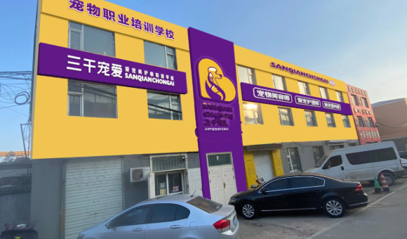 长春三千宠爱宠物美容师培训中心靠不靠谱？课程、师资、学费、地址一览！