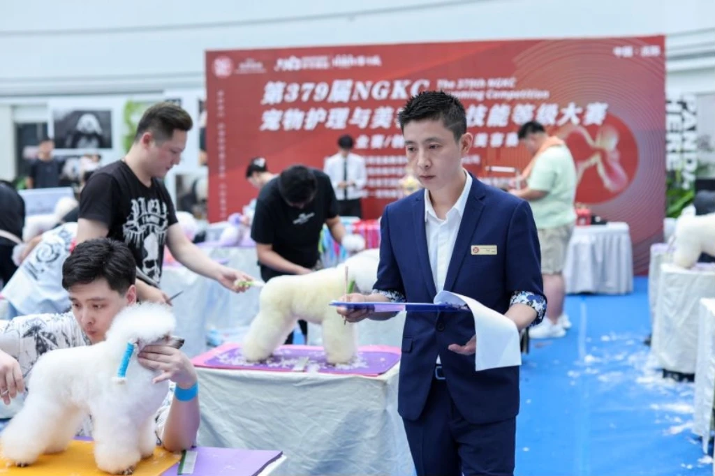 参加比赛