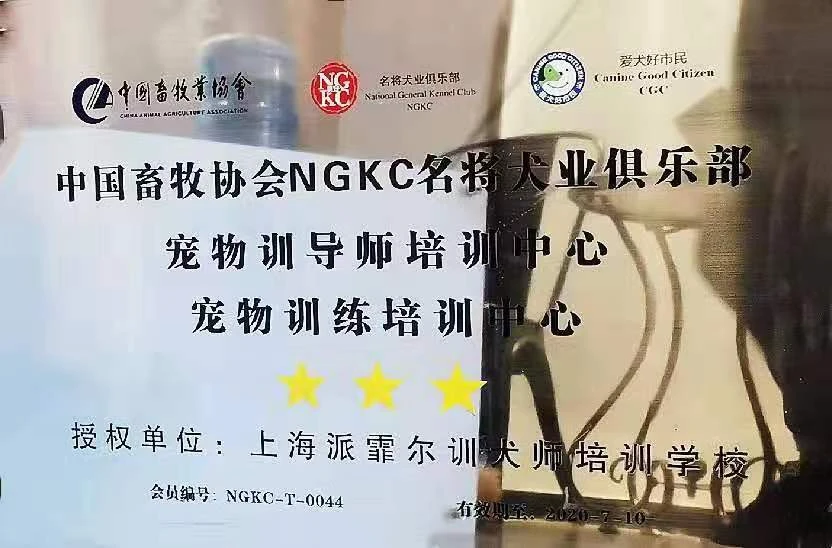 俱乐部认证