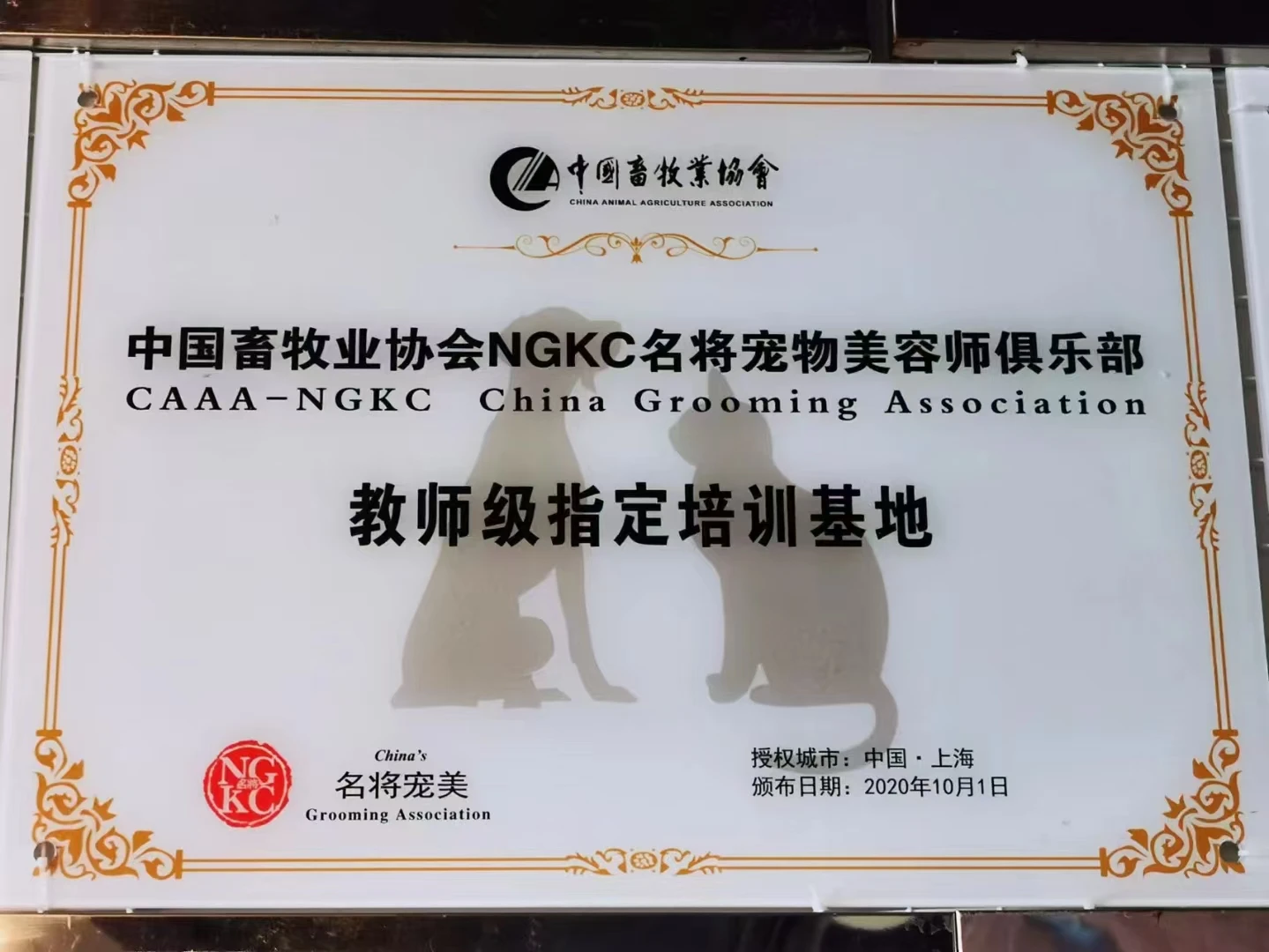 教师级培训基地