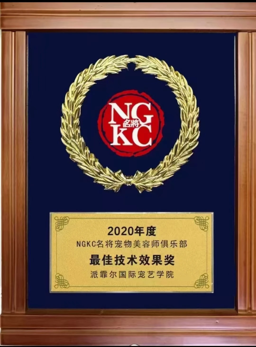 过往奖项