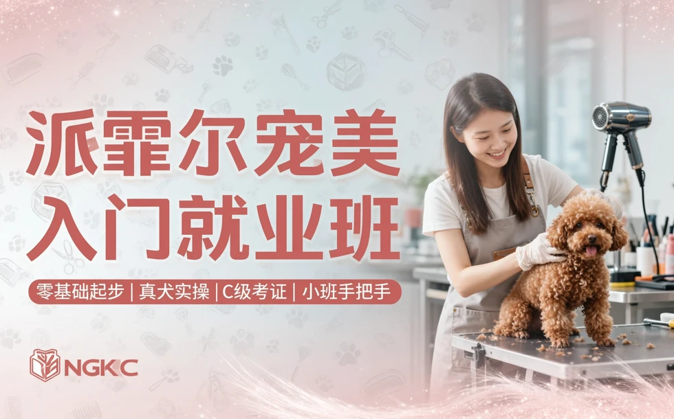 派霏尔宠美入门就业班