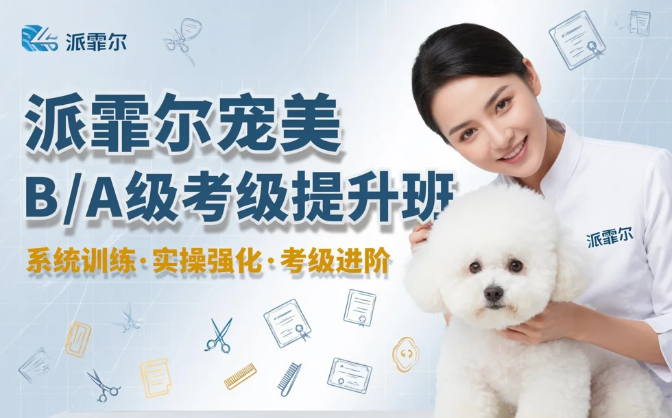 派霏尔宠美B/A级考级提升班