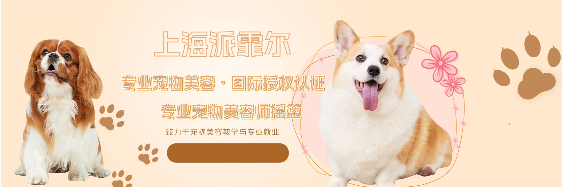 上海派霏尔宠物美容培训机构