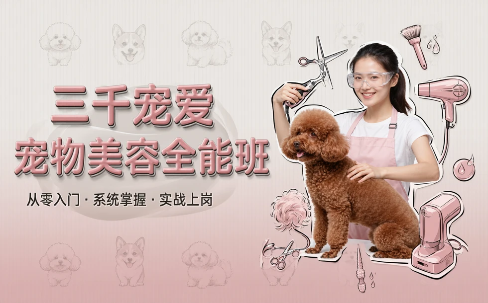 三千宠爱宠物美容全能班
