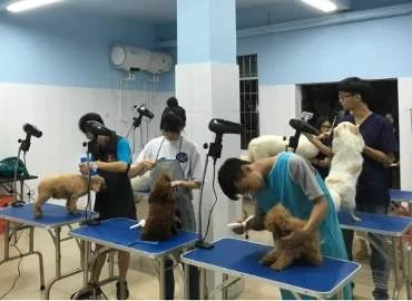 实操课堂