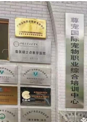 广州尊宠国际宠物美容护理培训中心