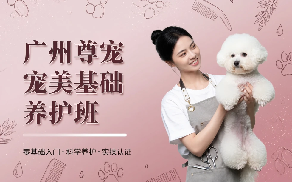 广州尊宠宠美基础养护班