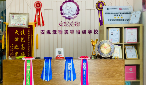 天津安妮宠物美容培训机构靠不靠谱？概况、课程、师资、地址一览！