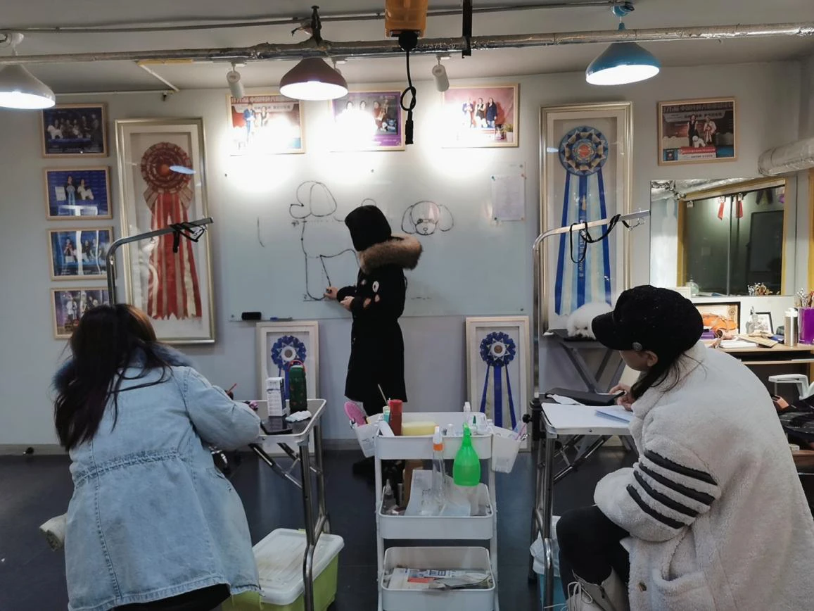 理论教学
