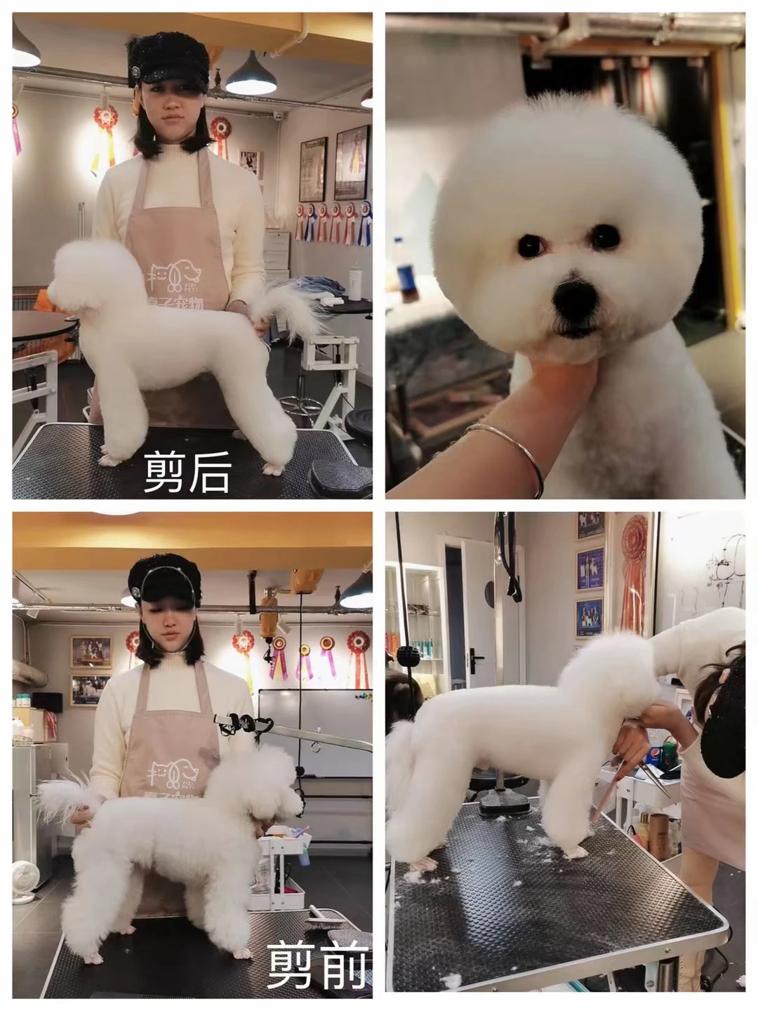 修剪展示