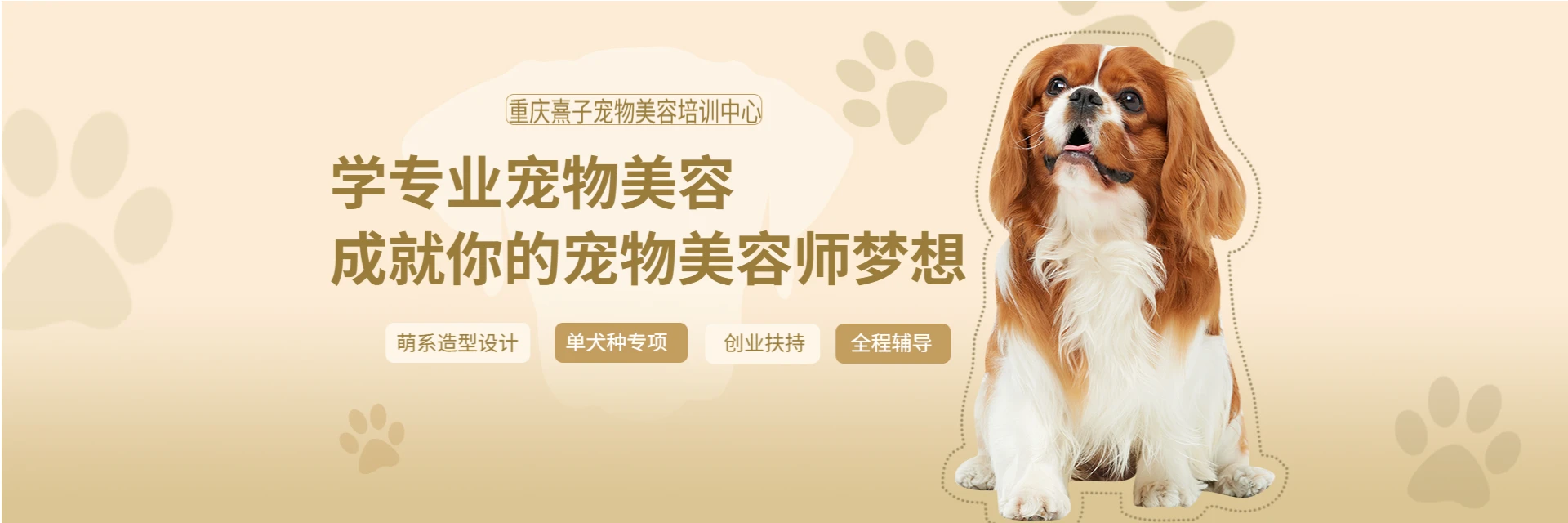 重庆熹子宠物美容培训中心