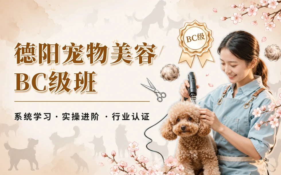 德阳宠物美容BC级班
