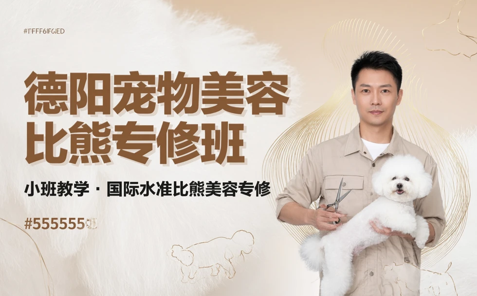 德阳宠物美容比熊专修班